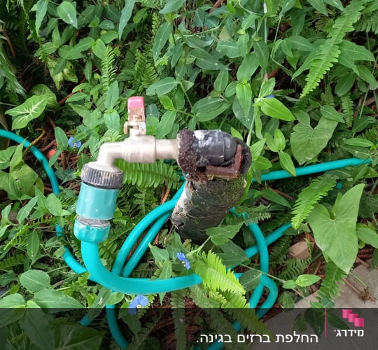 צינור מים ירוק וברז בגינה עם צמחייה